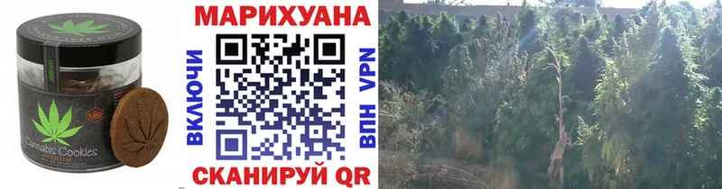 купить закладку Ядрин Печенье с ТГК конопля