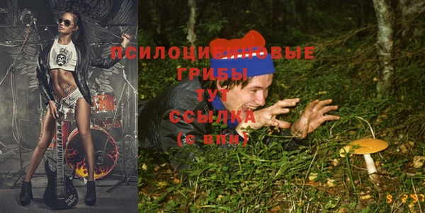 MDMA Premium VHQ Волоколамск