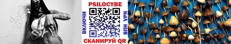 Псилоцибиновые грибы GOLDEN TEACHER  Ядрин 